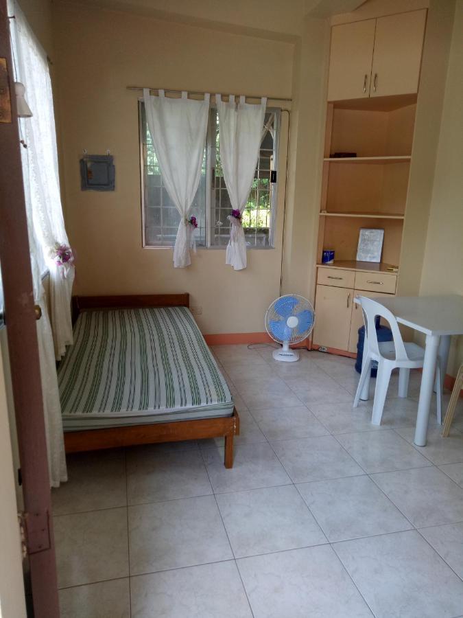 Apartmán Violin Mountain Dumaguete City Exteriér fotografie